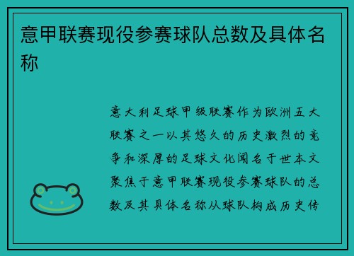 意甲联赛现役参赛球队总数及具体名称