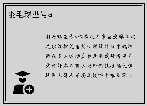 羽毛球型号a